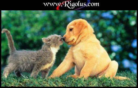 Tu Me MaNqUe GrAvE !!!!!!!!!!!!!!!